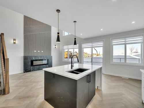 1060 Goldfinch Way, Edmonton, AB - Indoor Photo Showing Kitchen With Double Sink With Upgraded Kitchen