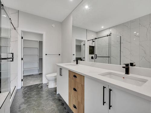 1060 Goldfinch Way, Edmonton, AB - Indoor Photo Showing Bathroom