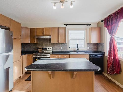 3011 21 Avenue, Edmonton, AB - Indoor Photo Showing Kitchen With Double Sink