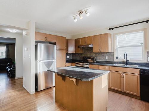 3011 21 Avenue, Edmonton, AB - Indoor Photo Showing Kitchen With Double Sink