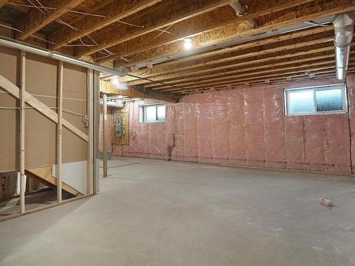 22143 81 Avenue Nw, Edmonton, AB - Indoor Photo Showing Basement