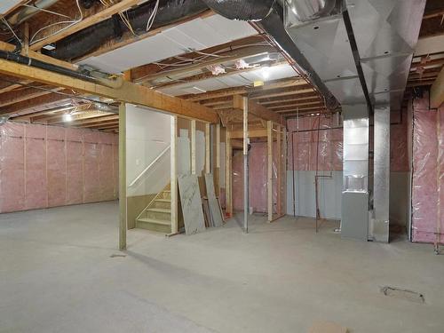 22143 81 Avenue Nw, Edmonton, AB - Indoor Photo Showing Basement