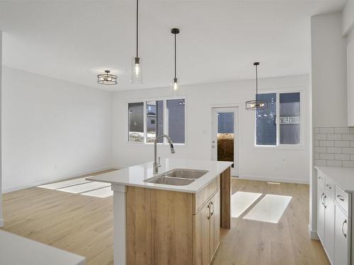 22825 82A Avenue, Edmonton, AB - Indoor Photo Showing Kitchen With Double Sink