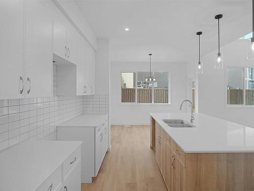 8103 220 Street, Edmonton, AB - Indoor Photo Showing Kitchen With Double Sink With Upgraded Kitchen