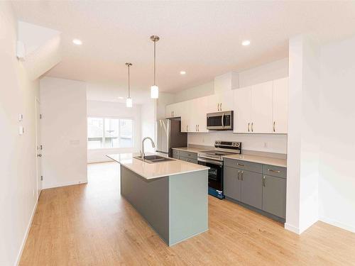 9618 Colak Link Link, Edmonton, AB - Indoor Photo Showing Kitchen With Double Sink With Upgraded Kitchen