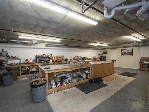 417 2420 108 Street Nw, Edmonton, AB - Indoor Photo Showing Garage