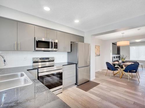 164 Secord Drive, Edmonton, AB - Indoor Photo Showing Kitchen With Stainless Steel Kitchen With Double Sink