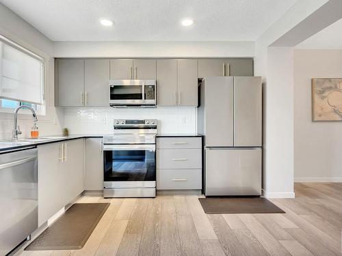 164 Secord Drive, Edmonton, AB - Indoor Photo Showing Kitchen With Stainless Steel Kitchen