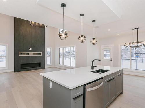 202 Edgewater Circle, Leduc, AB - Indoor Photo Showing Kitchen With Double Sink With Upgraded Kitchen