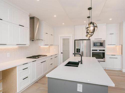 202 Edgewater Circle, Leduc, AB - Indoor Photo Showing Kitchen With Double Sink With Upgraded Kitchen