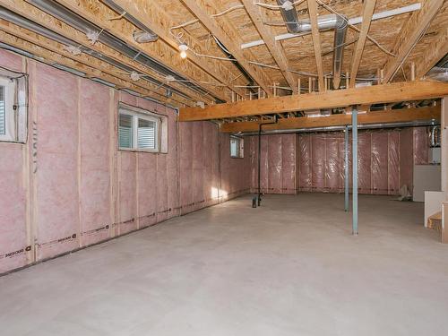 202 Edgewater Circle, Leduc, AB - Indoor Photo Showing Basement