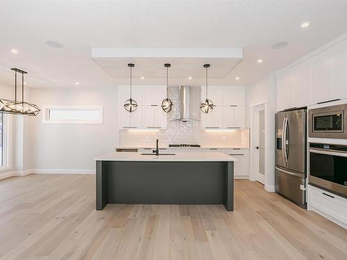 202 Edgewater Circle, Leduc, AB - Indoor Photo Showing Kitchen With Upgraded Kitchen