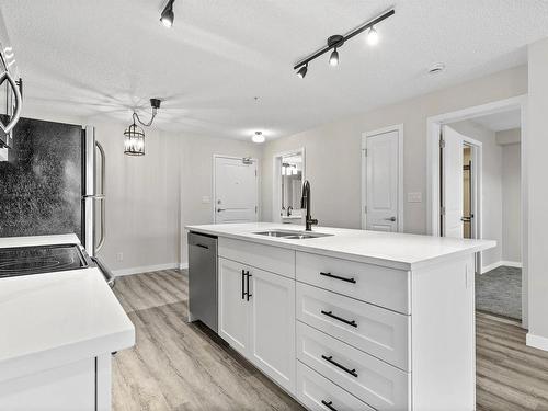 315 105 Ambleside Drive, Edmonton, AB - Indoor Photo Showing Kitchen With Double Sink