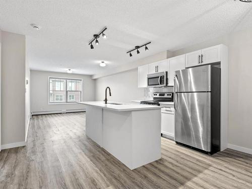 315 105 Ambleside Drive, Edmonton, AB - Indoor Photo Showing Kitchen With Stainless Steel Kitchen With Upgraded Kitchen