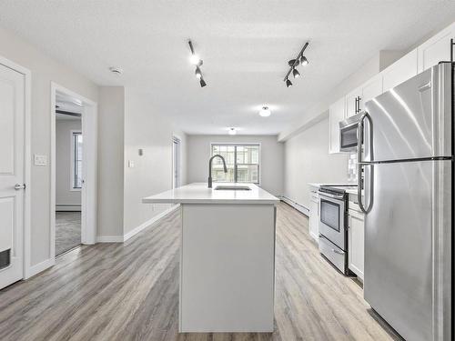 315 105 Ambleside Drive, Edmonton, AB - Indoor Photo Showing Kitchen With Stainless Steel Kitchen With Upgraded Kitchen