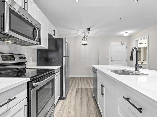 315 105 Ambleside Drive, Edmonton, AB - Indoor Photo Showing Kitchen With Stainless Steel Kitchen With Double Sink