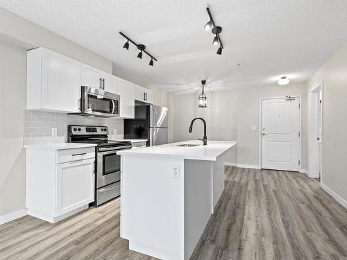 315 105 Ambleside Drive, Edmonton, AB - Indoor Photo Showing Kitchen With Stainless Steel Kitchen With Upgraded Kitchen