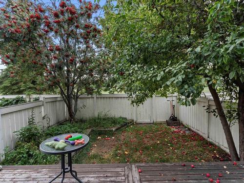 3016 108 Street, Edmonton, AB - Outdoor With Backyard