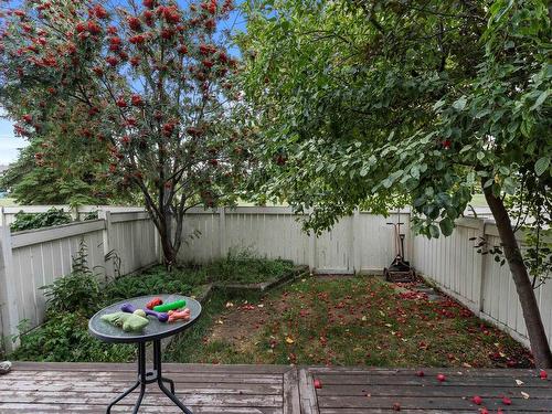 3016 108 Street, Edmonton, AB - Outdoor With Backyard