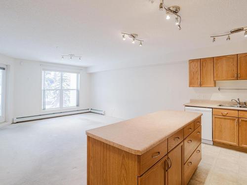 209 10311 111 Street, Edmonton, AB - Indoor Photo Showing Kitchen With Double Sink