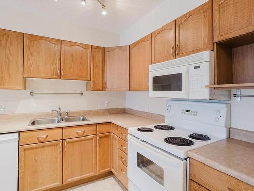 209 10311 111 Street, Edmonton, AB - Indoor Photo Showing Kitchen With Double Sink