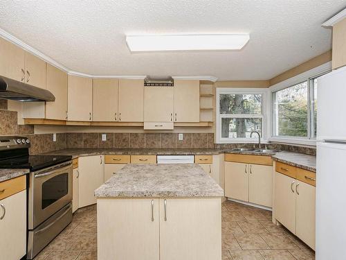 12222 83 Street, Edmonton, AB - Indoor Photo Showing Kitchen With Double Sink