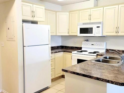 117 17404 64 Avenue Nw, Edmonton, AB - Indoor Photo Showing Kitchen With Double Sink