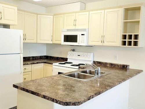 117 17404 64 Avenue Nw, Edmonton, AB - Indoor Photo Showing Kitchen With Double Sink