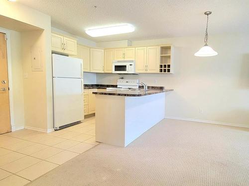 117 17404 64 Avenue Nw, Edmonton, AB - Indoor Photo Showing Kitchen