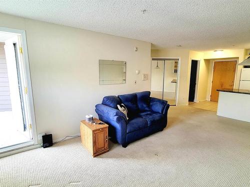 117 17404 64 Avenue Nw, Edmonton, AB - Indoor Photo Showing Living Room