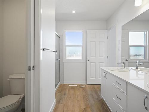 19215 24 Avenue, Edmonton, AB - Indoor Photo Showing Bathroom