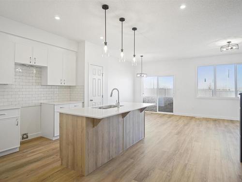 19215 24 Avenue, Edmonton, AB - Indoor Photo Showing Kitchen With Upgraded Kitchen