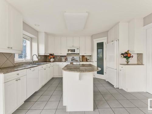 164 Darlington Crescent, Edmonton, AB - Indoor Photo Showing Kitchen With Double Sink