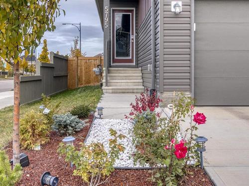 5795 Cautley Crescent, Edmonton, AB - Outdoor