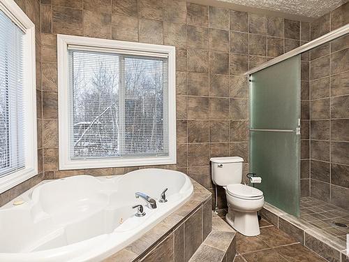 31-20508 Township Road 502, Rural Beaver County, AB - Indoor Photo Showing Bathroom