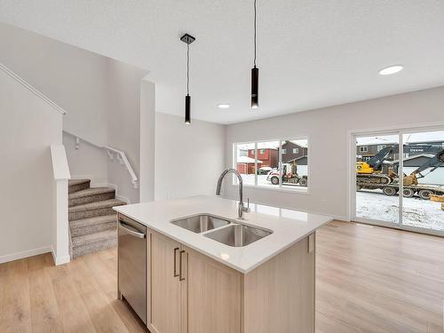 4855 Hawthorn Bend, Edmonton, AB - Indoor Photo Showing Kitchen With Double Sink