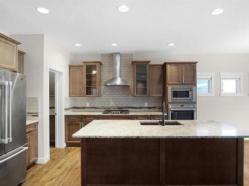 20519 97 Avenue, Edmonton, AB - Indoor Photo Showing Kitchen With Double Sink With Upgraded Kitchen