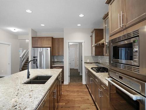 20519 97 Avenue, Edmonton, AB - Indoor Photo Showing Kitchen With Double Sink With Upgraded Kitchen