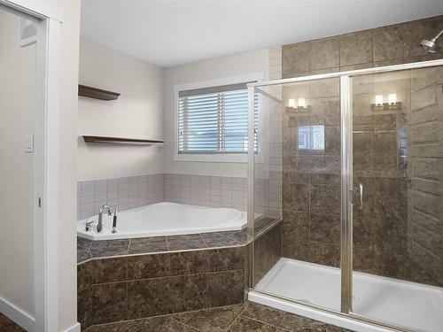 20519 97 Avenue, Edmonton, AB - Indoor Photo Showing Bathroom