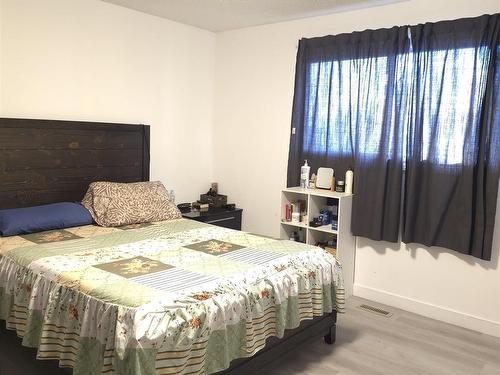 2916 89 Street, Edmonton, AB - Indoor Photo Showing Bedroom