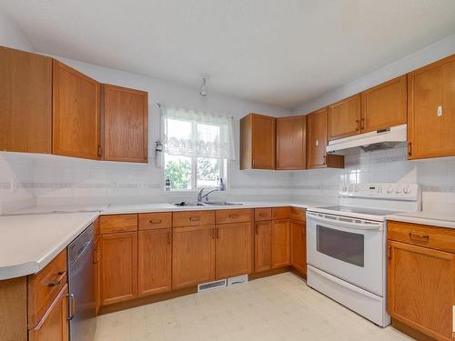 377 Blackburn Drive, Edmonton, AB - Indoor Photo Showing Kitchen With Double Sink