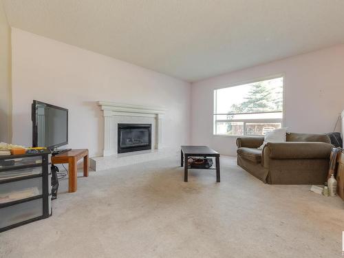 377 Blackburn Drive, Edmonton, AB - Indoor Photo Showing Living Room With Fireplace