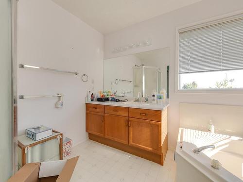 377 Blackburn Drive, Edmonton, AB - Indoor Photo Showing Bathroom