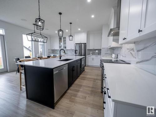 20412 128 Avenue, Edmonton, AB - Indoor Photo Showing Kitchen With Upgraded Kitchen