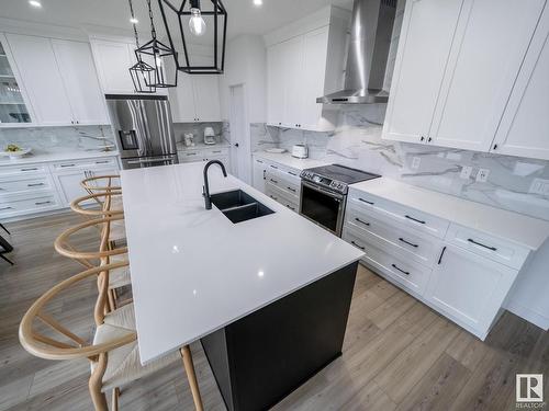 20412 128 Avenue, Edmonton, AB - Indoor Photo Showing Kitchen With Double Sink With Upgraded Kitchen