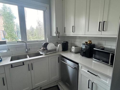 60 Riverstone Close, Rural Sturgeon County, AB - Indoor Photo Showing Kitchen With Double Sink