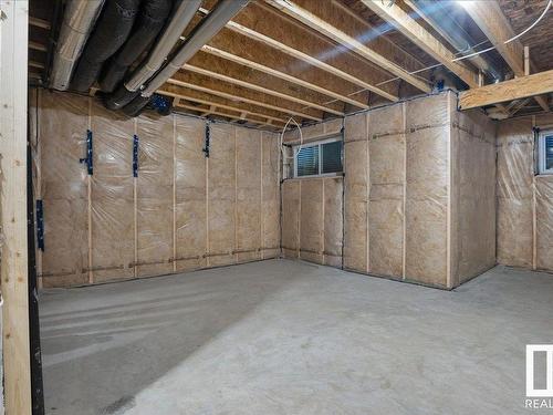 2029 209A Street, Edmonton, AB - Indoor Photo Showing Basement