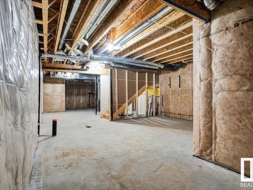 2029 209A Street, Edmonton, AB - Indoor Photo Showing Basement