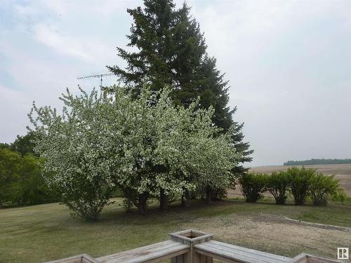 11215 Twp Rd 581, Rural St. Paul County, AB - Outdoor With View