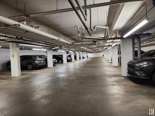 423 812 Welsh Drive, Edmonton, AB - Indoor Photo Showing Garage